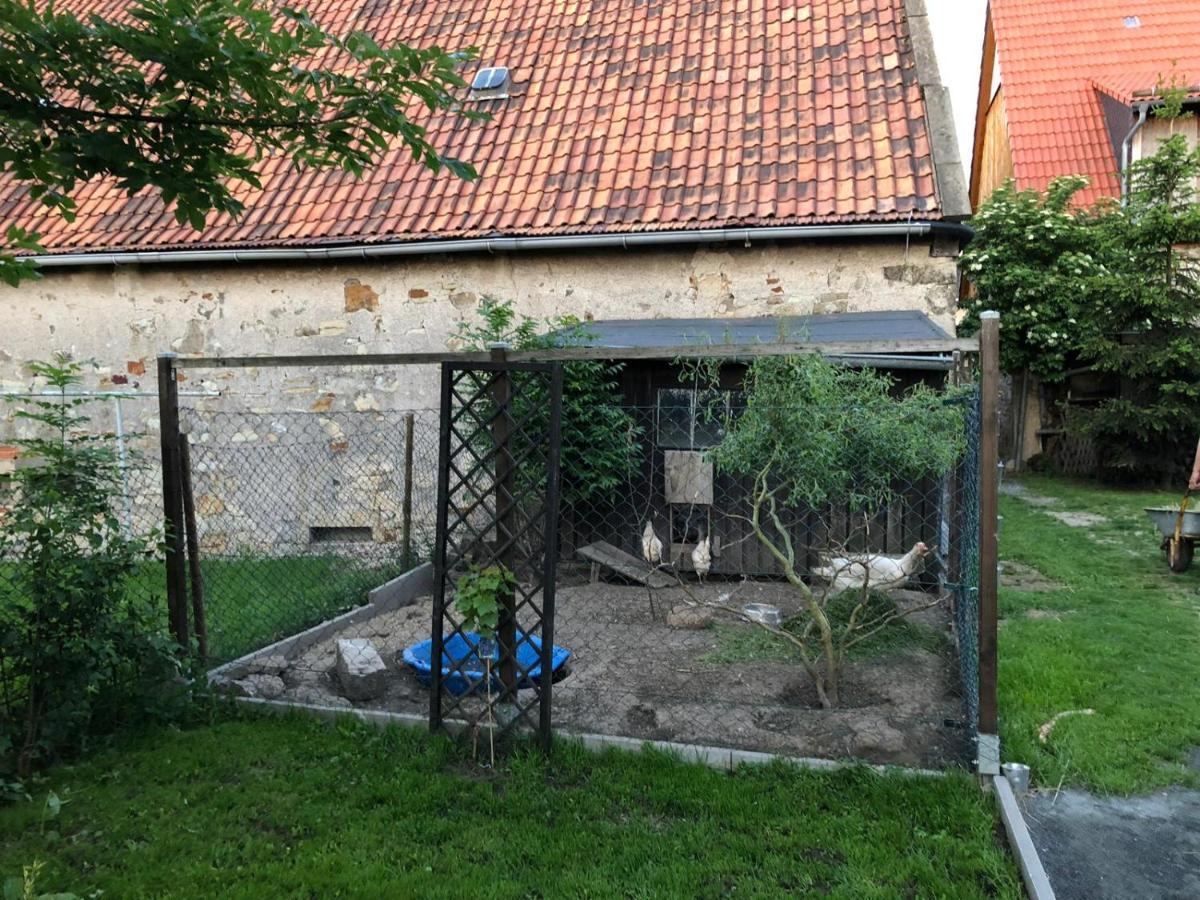 Ferienwohnung Gans Auguste Dohna Ngoại thất bức ảnh